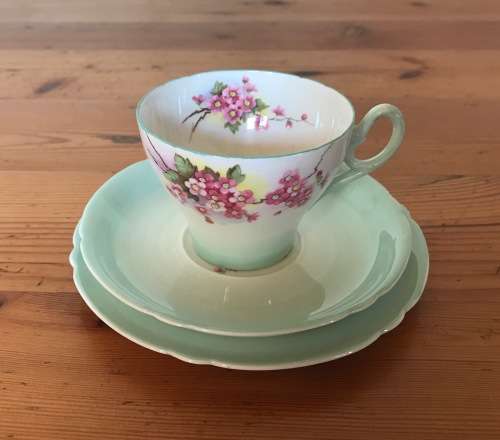 SHELLEY BLOSSOM TEA TRIO GREEN SWIRL CAMBRIDGE CUP SHAPE 1938-66 3 piece England 13539 FLOWER 823343