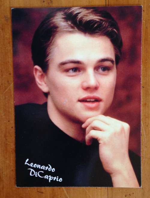 LEONARDO DI CAPRIO AMERICAN ACTOR FILM MOVIE PYRAMID ENGLAND  POSTCARD POST CARD