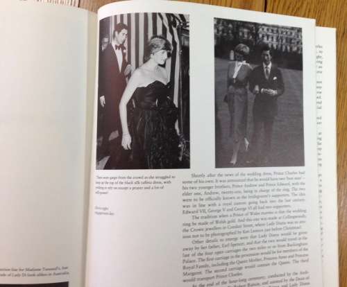 BOOK SETTLING DOWN JAMES WHITAKER LADY DIANA and PRINCE CHARLES 1981 SOFTCOVER.