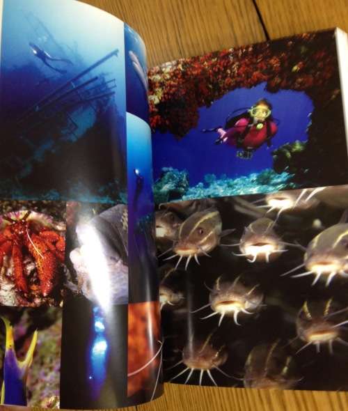 DIVE SOUTH AFRICA AL J. VENTER JOHN VISSER ULTIMATE UNDERWATER COMPENDIUM 2008 SHARKS signed book