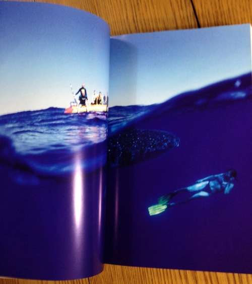 DIVE SOUTH AFRICA AL J. VENTER JOHN VISSER ULTIMATE UNDERWATER COMPENDIUM 2008 SHARKS signed book