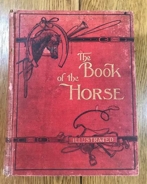 THE BOOK of the HORSE SAMUEL SIDNEY 1893 CASSELL and CO. LONDON NEW EDITION SINCLAIR and BLEW VET.