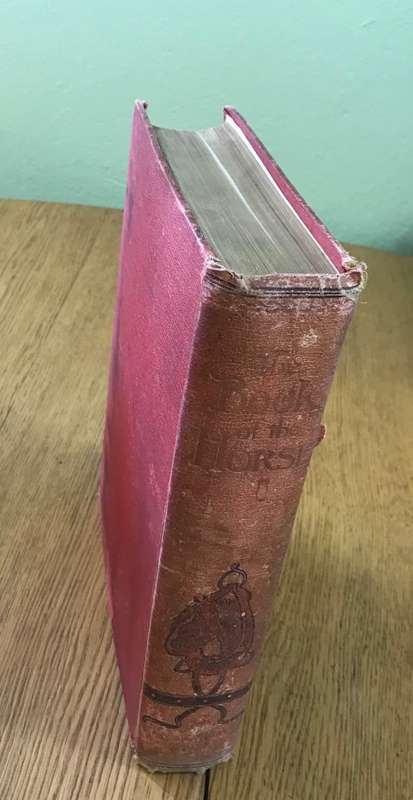 THE BOOK of the HORSE SAMUEL SIDNEY 1893 CASSELL and CO. LONDON NEW EDITION SINCLAIR and BLEW VET.