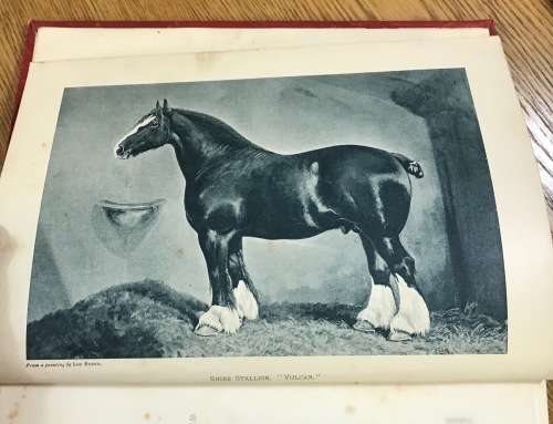 THE BOOK of the HORSE SAMUEL SIDNEY 1893 CASSELL and CO. LONDON NEW EDITION SINCLAIR and BLEW VET.