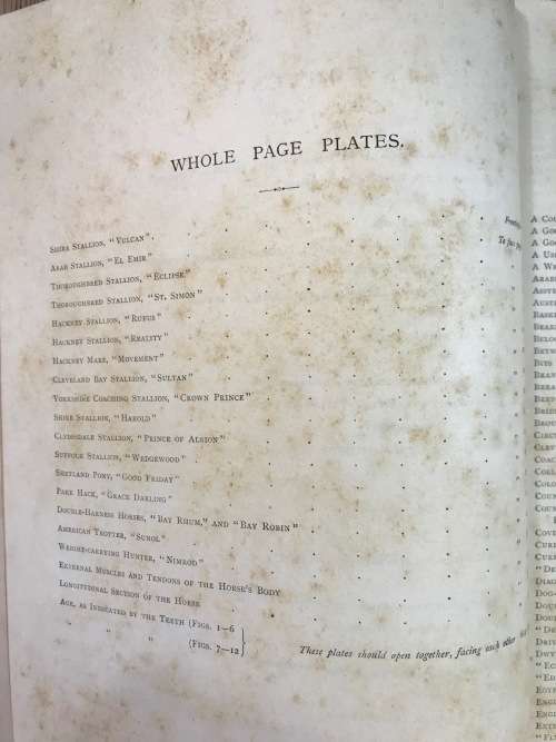 THE BOOK of the HORSE SAMUEL SIDNEY 1893 CASSELL and CO. LONDON NEW EDITION SINCLAIR and BLEW VET.