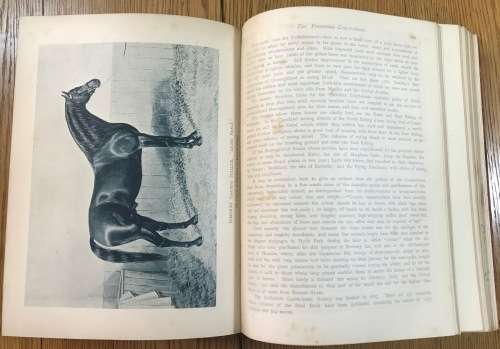 THE BOOK of the HORSE SAMUEL SIDNEY 1893 CASSELL and CO. LONDON NEW EDITION SINCLAIR and BLEW VET.