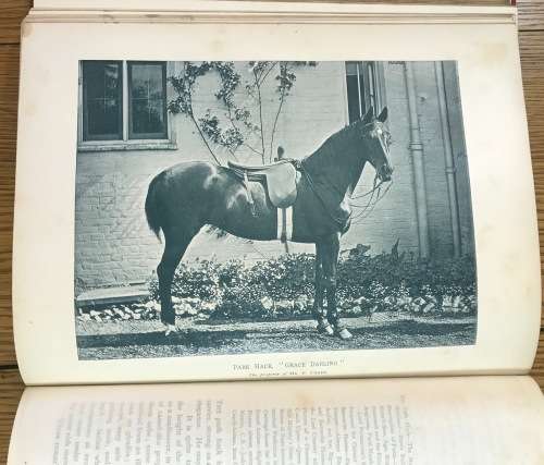THE BOOK of the HORSE SAMUEL SIDNEY 1893 CASSELL and CO. LONDON NEW EDITION SINCLAIR and BLEW VET.