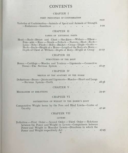 POINTS of the HORSE CAPTAIN M.H. HAYES 1922 4th EDITION NEW IMPRESSION HURST and BLACKETT ENGLAND.