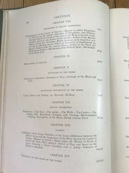 POINTS of the HORSE CAPTAIN M.H. HAYES 1922 4th EDITION NEW IMPRESSION HURST and BLACKETT ENGLAND.