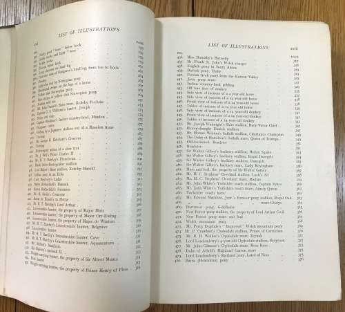 POINTS of the HORSE CAPTAIN M.H. HAYES 1922 4th EDITION NEW IMPRESSION HURST and BLACKETT ENGLAND.