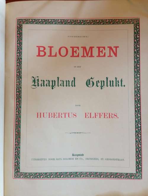 HUBERT ELFFERS Bloemen In Het Kaapland Geplukt 1885 1st EDITI0N PAUL SOLOMON CAPE TOWN POETRY DUTCH.