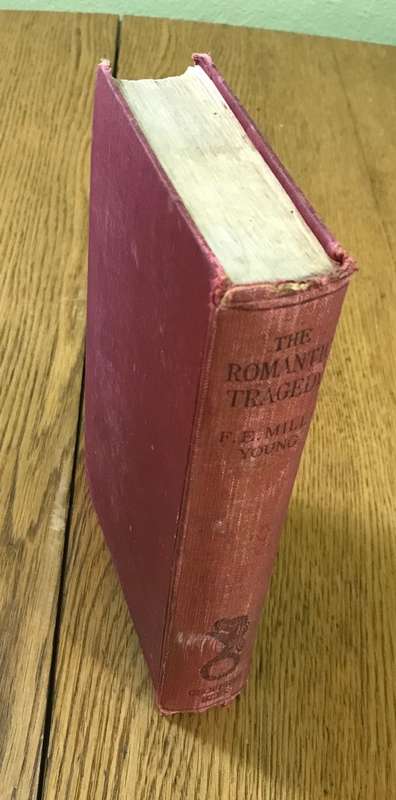 The Romantic Tragedy F. E. Mills Young A Tale of the Diamond Digging 1933 BOOK