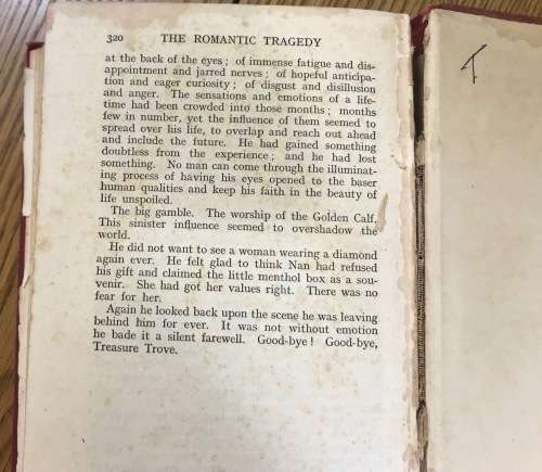 The Romantic Tragedy F. E. Mills Young A Tale of the Diamond Digging 1933 BOOK