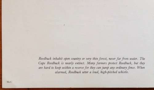 UNION-CASTLE LINE MENU=SAFMARINE=WINDSOR CASTLE=LUNCHEON=1 JAN 1977=REEDBUCK=1st CLASS DINING.