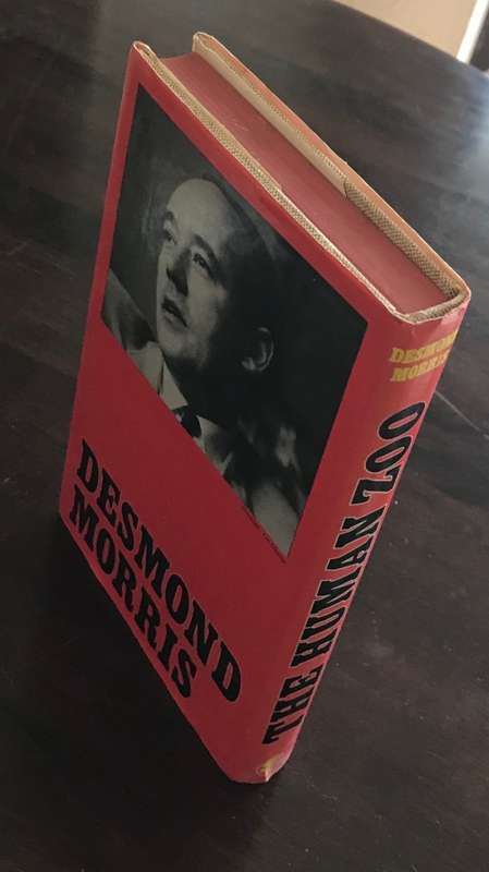 BOOK THE HUMAN ZOO DESMOND MORRIS 1969 Ist EDITION NOVEL.