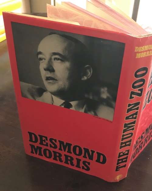 BOOK THE HUMAN ZOO DESMOND MORRIS 1969 Ist EDITION NOVEL.