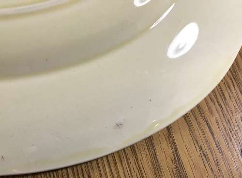 CLARICE CLIFF OVAL PLATTER NEWPORT POTTERY HONEYDEW PATTERN FLOWER RHODANTHE HANDPAINTED ENGLAND!!!