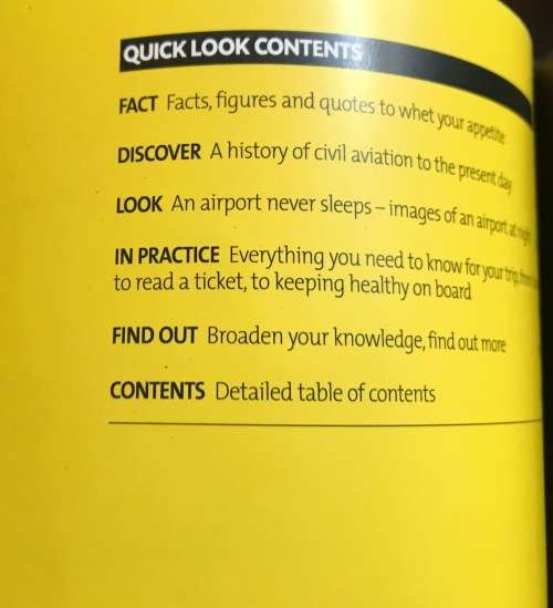 FLYING (BEACONS) SERGE BARRET THIERRY LAMIRAUD CASSELL ILLUSTRATED 2001 124 pages AEROPLANES BOEINGS