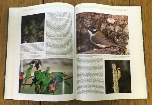BIRDS of AUSTRALIA COLIN HARRISON 1988 Parrots Lories Lorikeets Parakeets Many others BOOK