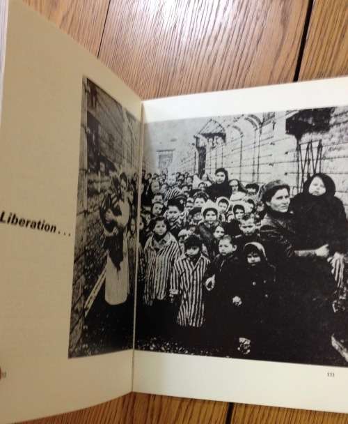 SIX MILLION DID DIE: THE TRUTH SHALL PREVAIL Arthur Suzman and Denis Diamond The Holocaust  Germany.