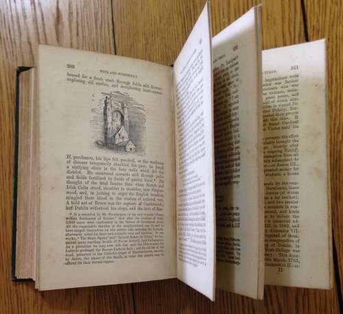 IRISH WITS and WORTHIES=Dr. Lanigan's life + times since 1770=W. J. Fitz-Patrick=1873=DUBLIN=IRELAND