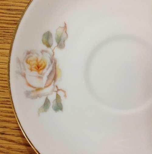 THOMAS=GERMANY=DEMITASSE=EXPRESSO=COFFEE=6 CUPS + 6 SAUCERS=FLOWERS=ROSES=STUNNING FINE PORCELAIN!!!