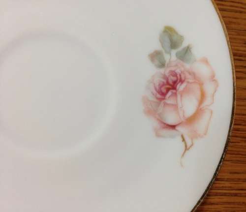 THOMAS=GERMANY=DEMITASSE=EXPRESSO=COFFEE=6 CUPS + 6 SAUCERS=FLOWERS=ROSES=STUNNING FINE PORCELAIN!!!