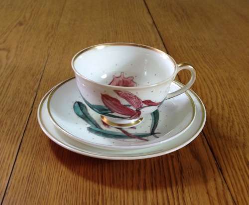 Susie Cooper Tiger Lily Trio Footed Tea Cup Flower Orchid Post-1950