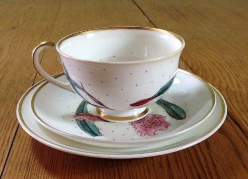 Susie Cooper Tiger Lily Trio Footed Tea Cup Flower Orchid Post-1950