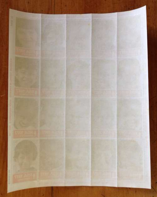 CHRISTMAS STAMPS SHEET RSA KERSFEES 1977 PREVENT TB in CHILDREN MULTI-RACIAL 20c CINDERELLAS.