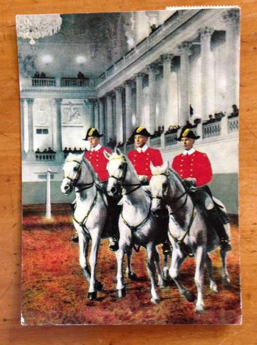 POSTCARD POST CARD VIENNA SPANISH COURT RIDING SCHOOL HORSES AUSTRIA NEW GERMANY NATAL SOUTH AFRICA