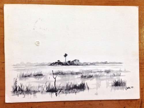 POSTCARD POST CARD BOTSWANA OKAVANGO SWAMPS 1986 HALLEYS COMET ASTROLOGY.