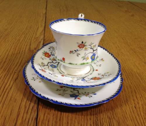 PARAGON BLOSSOM TEA SET RD. No. 744170 MILK JUG OPEN SUGAR CAKE PLATE 6 TRIOS STUNNING RARE 21 PIECE
