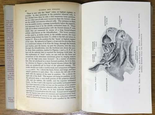 SCIENCE and SINGING ERNEST G. WHITE 1938 RESEARCH of the VOICES INGERSEL OCUTITIONISTS STAMMERERS.