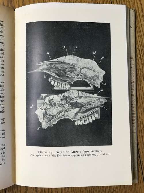 SCIENCE and SINGING ERNEST G. WHITE 1938 RESEARCH of the VOICES INGERSEL OCUTITIONISTS STAMMERERS.