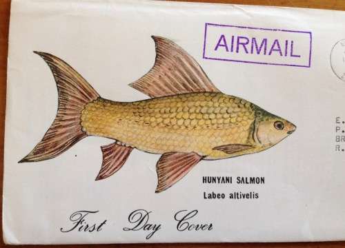 ZAMBIA FDC 1985 HUNYANI SALMON LABEO ALTIVELIS AIRMAIL PHILATELIC BUREAU NDOLA FISH AQUATIC ZAMBEZI.