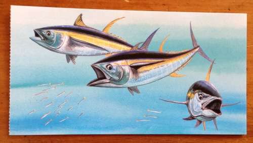 YELLOWFIN TUNA POSTCARD REPUBLIC of SOUTH AFRICA PHILATELIC SERVICES BARN SWALLOW MIGRATORY BIRDS.