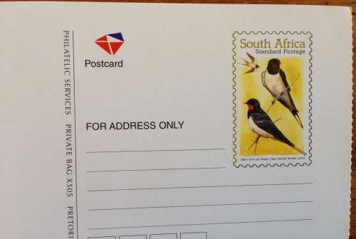 YELLOWFIN TUNA POSTCARD REPUBLIC of SOUTH AFRICA PHILATELIC SERVICES BARN SWALLOW MIGRATORY BIRDS.