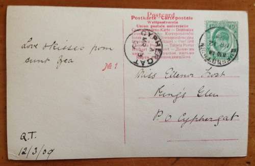 POSTCARD CAPE of GOOD HOPE QUEENSTOWN to CYPHERGAT 1909 UNION SOUTH AFRICA PUTZEL 2/14a CAT KITTEN.