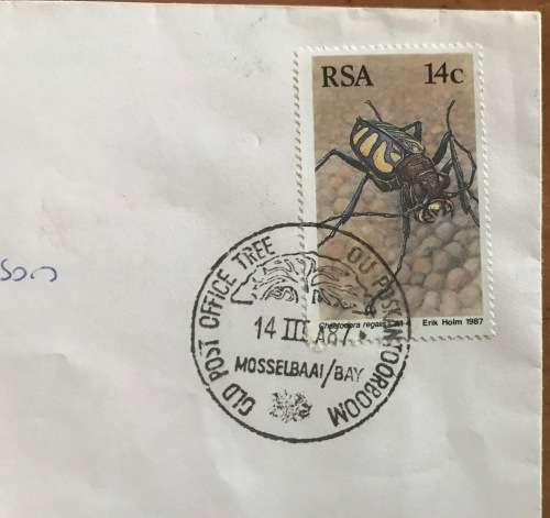 SOUTH AFRICA OLD POST OFFICE TREE SPECIAL DATE STAMP MOSSEL BAY 14.3.1987 INSECT TIGER BEETLE.
