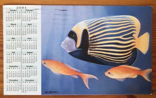 POSTCARD POST CARD SOUTH AFRICA BLOEMFONTEIN CALENDAR 2001 MARINE FISH EMPEROR ANGELGOLDIES FLOWERS