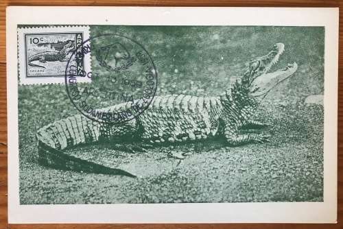 POSTCARD GREEN MAX. CARD ARGENTINA 1959 CROCODILE CAIMAN YACARE 1st SOUTH AMERICAN CONGRESS ZOOLOGY