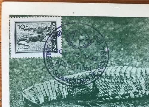 POSTCARD GREEN MAX. CARD ARGENTINA 1959 CROCODILE CAIMAN YACARE 1st SOUTH AMERICAN CONGRESS ZOOLOGY