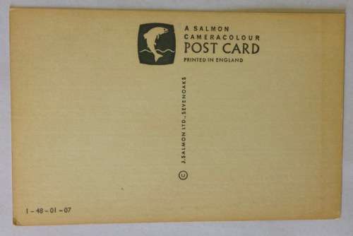 POSTCARD POST CARD GREAT BRITAIN HORSE DARTMOOR PONIES TREES ENGLAND.