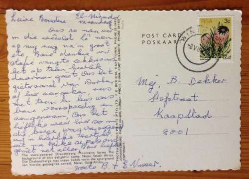 POSTCARD POST CARD COLOUR DRAKENSBERG NATAL HORSE RIDING SNOW MOUNTAIN RIVER LANDSCAPE PROTEA FLOWER