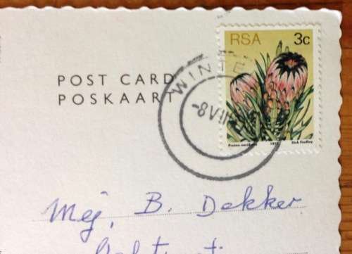 POSTCARD POST CARD COLOUR DRAKENSBERG NATAL HORSE RIDING SNOW MOUNTAIN RIVER LANDSCAPE PROTEA FLOWER