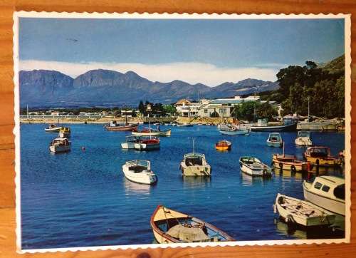 POSTCARD POST CARD GORDONS BAY CAPE TOWN BOATS FISHING MOORING HARBOUR PROTEA FLOWER.