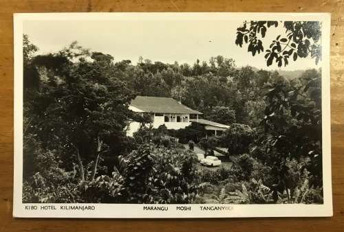 POSTCARD POST CARD REAL PHOTO TANGANYIKA KIBO HOTEL KILIMANJARO MARANGU MOSHI TREES VINTAGE CARS.