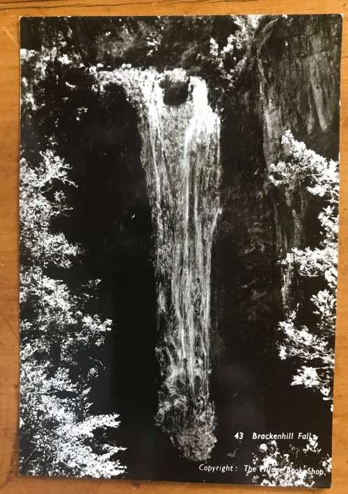POSTCARD POST CARD BRACKENHILL FALLS KNYSNA AREA WITELSRIVIER NOETSIE RIVER BLACK + WHITE REAL PHOTO