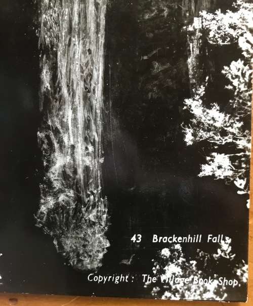 POSTCARD POST CARD BRACKENHILL FALLS KNYSNA AREA WITELSRIVIER NOETSIE RIVER BLACK + WHITE REAL PHOTO